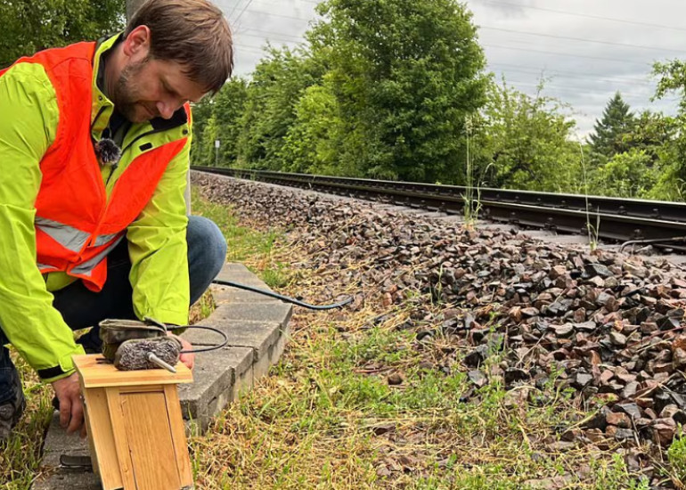 Focus on sustainability